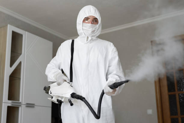 Mold Remediation for Rental Properties in Smithfield, UT